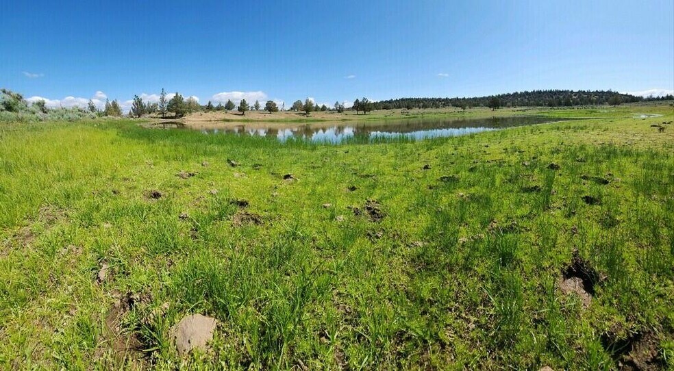 More Photos Of 3234 County Road 75, Alturas Land For Sale