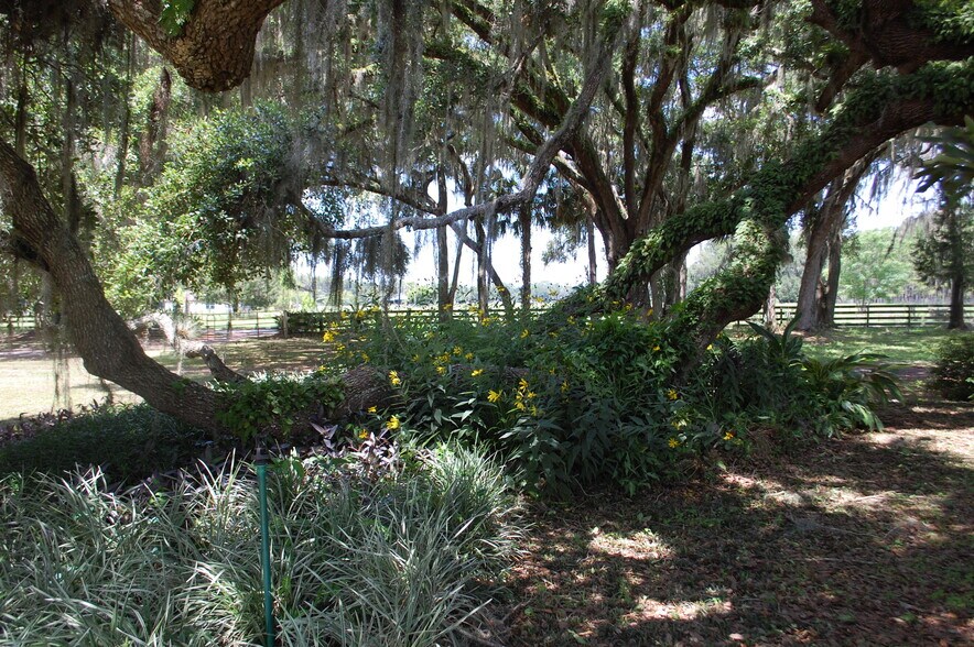 More Photos Of 18811 SE 243rd St, Hawthorne Specialty For Sale