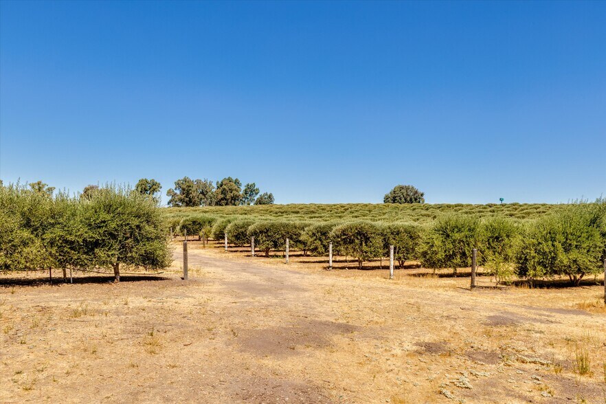 More Photos Of 5055 Rancho La Loma Linda Dr, Paso Robles Specialty For Sale
