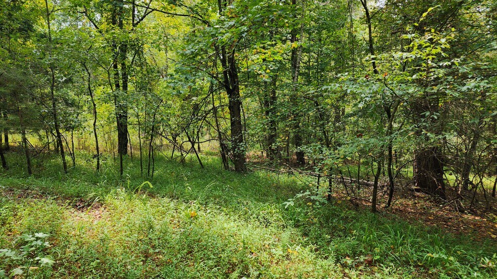 More Photos Of 1661 Friendship Rd, Hoschton Land For Sale