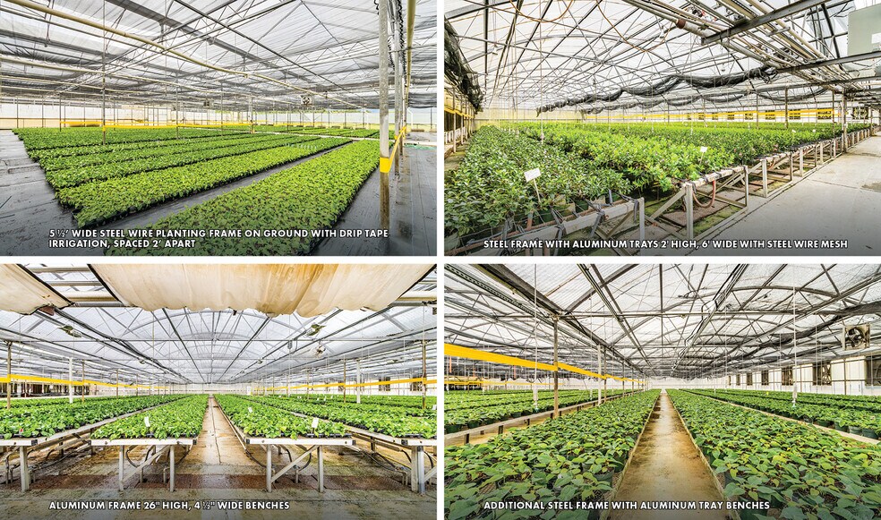 More Photos Of 22341 Palm Beach Blvd, Alva Land For Sale