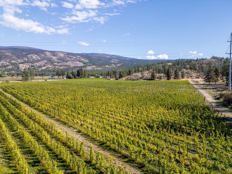 More Photos Of 1580 Chapman Rd, Okanagan Falls Winery Vineyard For Sale
