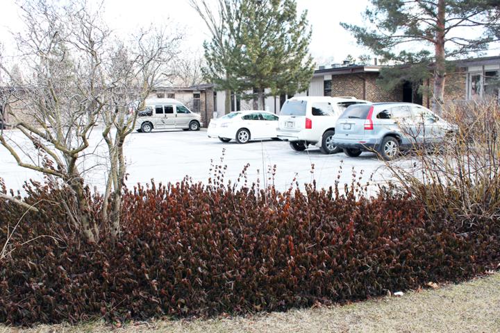 More Photos Of 860 Summit St, Elgin Medical For Lease