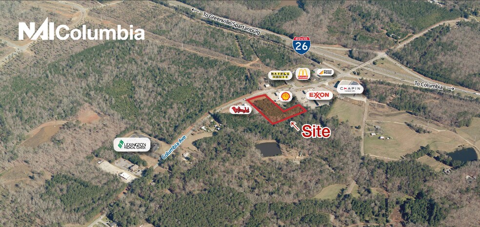 Primary Photo Of 870 Columbia Ave, Chapin Land For Sale