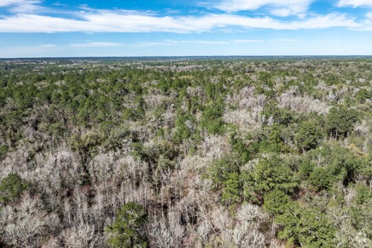 More Photos Of , Tallahassee Land For Sale