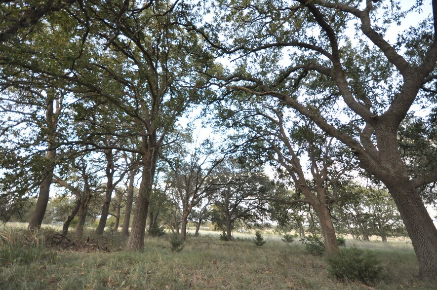 More Photos Of 100 Farm To Market 165, Dripping Springs Land For Sale