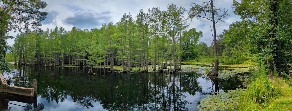 More Photos Of Balfour Road & McNeill Lake Rd, Lumber Bridge Land For Sale