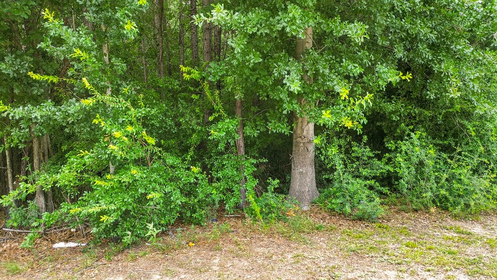 More Photos Of Deerbrook Park Blvd, Humble Land For Sale