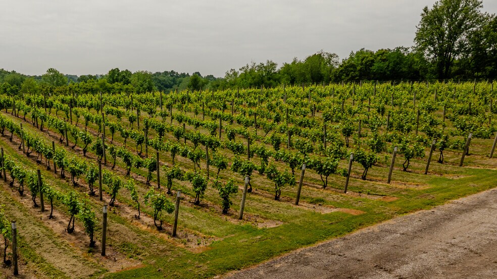 More Photos Of 10220 Lauer Rd, Baroda Winery Vineyard For Sale