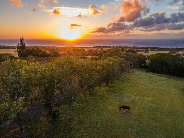 Primary Photo Of 56-2864 Akone Pule Hwy, Hawi Land For Sale