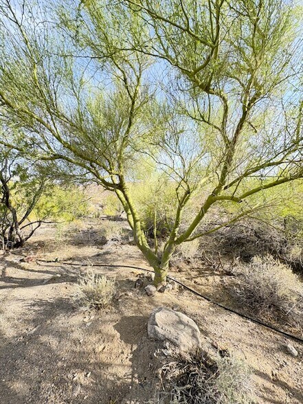 More Photos Of 160 +/- Acres Juanita Springs Ranch, Bunkerville Land For Sale