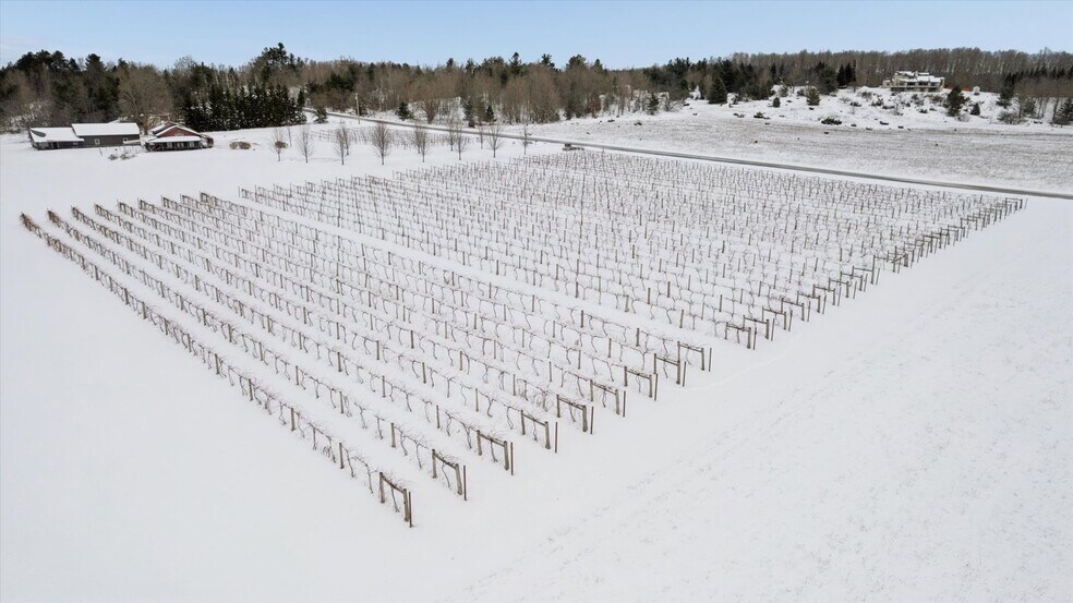 More Photos Of 8370 Lakeview Rd, Alanson Winery Vineyard For Sale