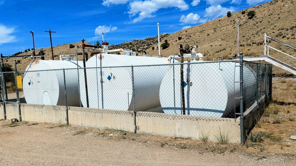 More Photos Of , Dinosaur General Retail For Sale