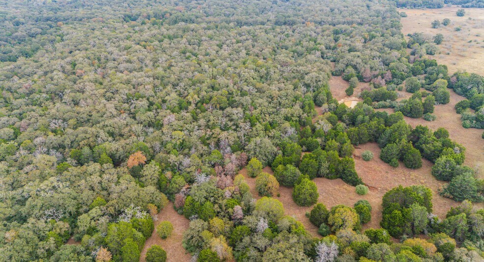 More Photos Of TBD County #415 rd, Lexington Land For Sale