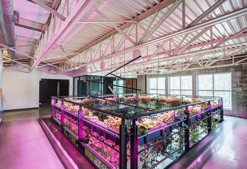 More Photos Of 7049 Rue Saint-Urbain, Montréal Showroom For Sale