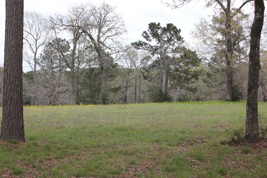 More Photos Of 16046 Honea Rd W, Montgomery Land For Sale