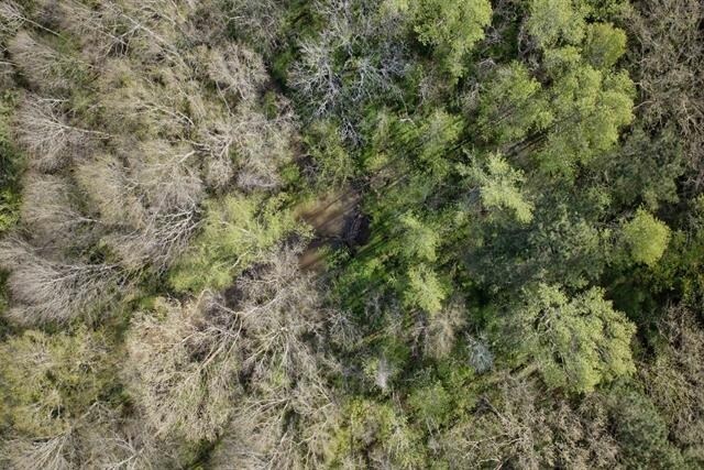 More Photos Of Greensboro Hwy, Greensboro Land For Sale