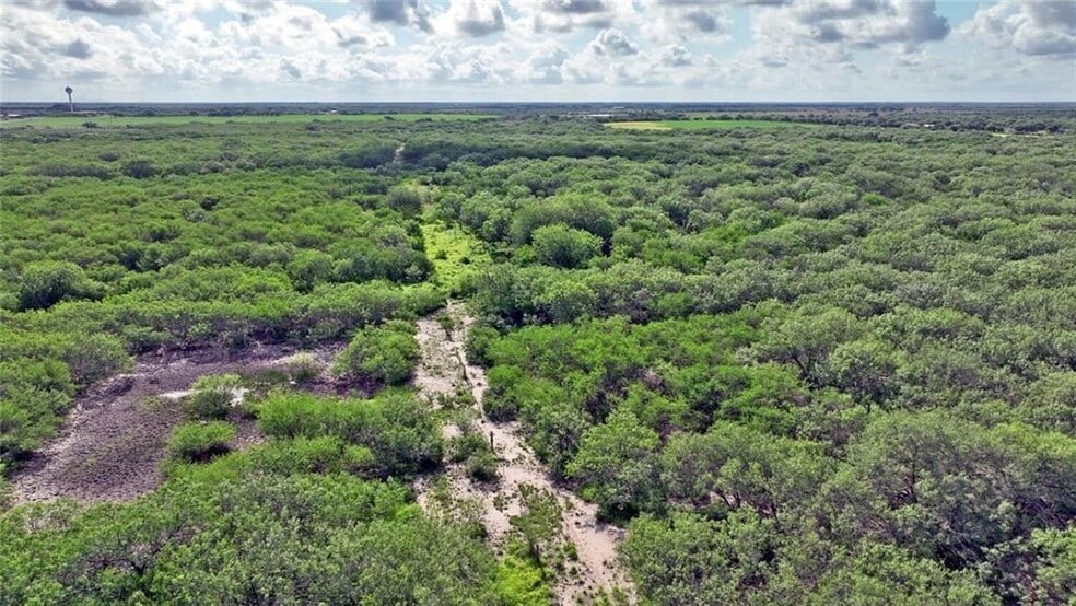 More Photos Of CR 2170, Ricardo Land For Sale
