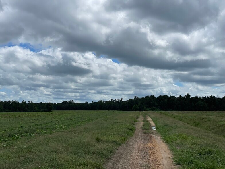 More Photos Of 5700 Pine Forest Rd, Walnut Hill Land For Sale