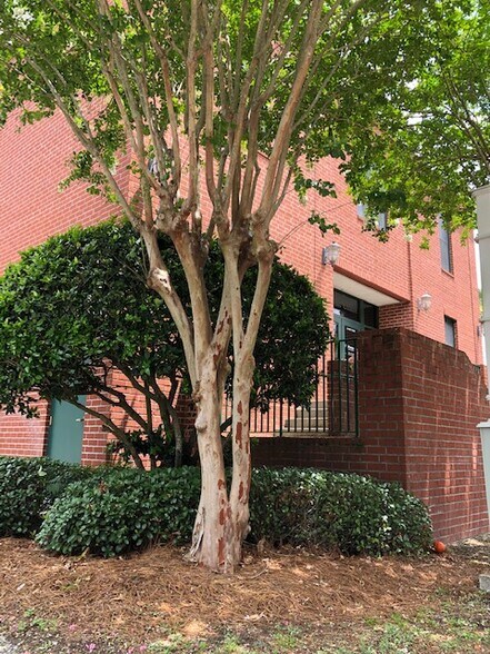 More Photos Of 24 W Chase St, Pensacola Office For Lease