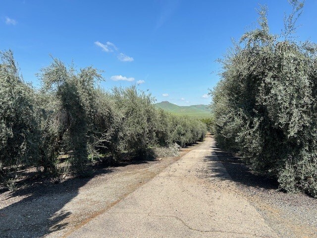 More Photos Of 24257 Ave 234, Lindsay Land For Sale