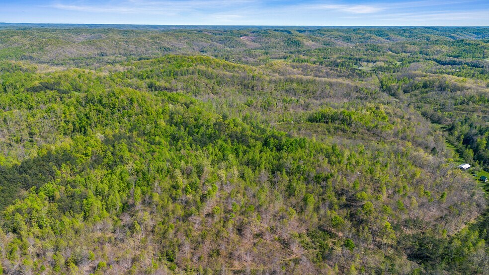 More Photos Of Knipp Branch, Grayson Land For Sale