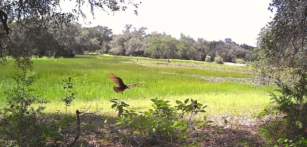 More Photos Of TBD County Road 19, Garwood Land For Sale