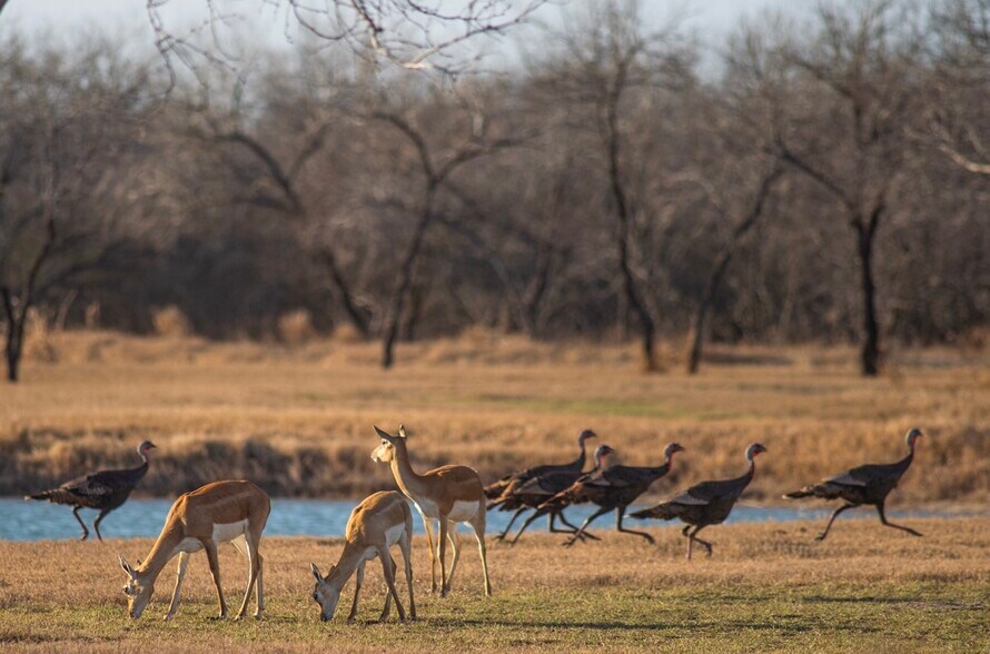 More Photos Of 141 S Private Road 1026, Kingsville Land For Sale