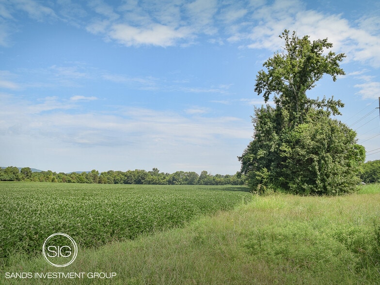 Primary Photo Of Wilson Mann Rd and 431 S - Owens Cross Roads hwy, Owens Cross Roads Land For Sale