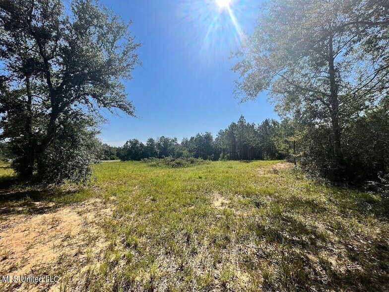More Photos Of 0 Highway 11 & Highland Parkway, Picayune Land For Sale