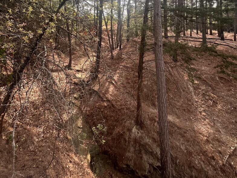 More Photos Of 2548 County Road 2690, Alvord Land For Sale