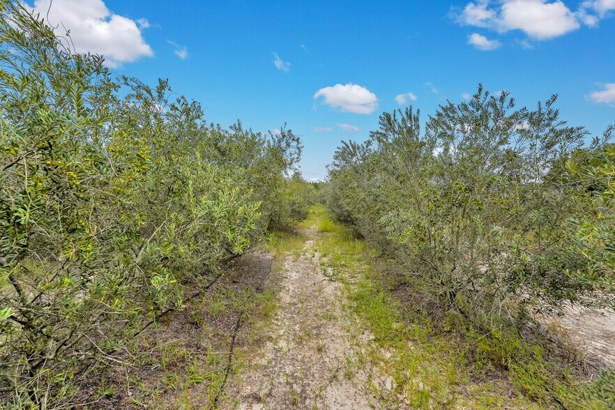 More Photos Of 2437 GA Highway 121, Glennville Land For Sale