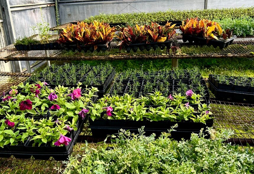 More Photos Of 23010 Wolf Branch rd, Sorrento Winery Vineyard For Sale