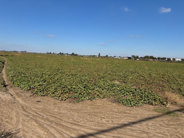 Primary Photo Of 3131 W Main St, Turlock Land For Sale