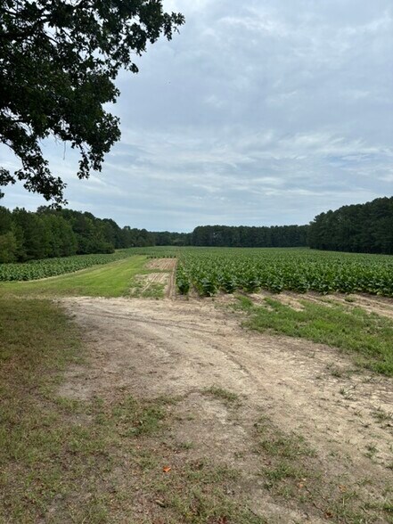 More Photos Of 2723 Mays Crossroad Crossroads, Youngsville Land For Sale