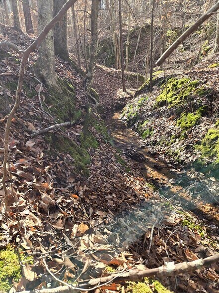 More Photos Of Hwy 109 N @ Cobb Street, Wadesboro Land For Sale