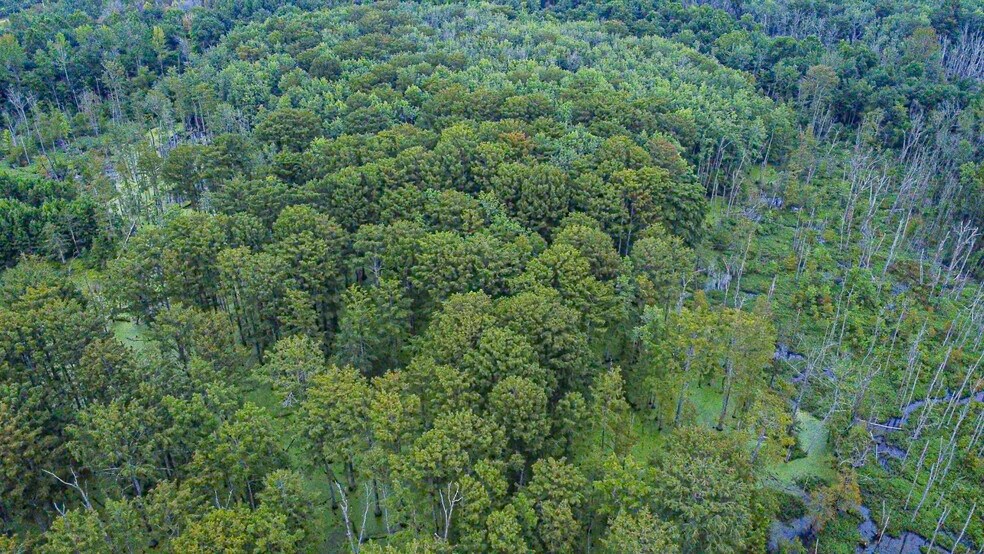 More Photos Of 957 Truck Plaza Ln, Calvert City Land For Sale