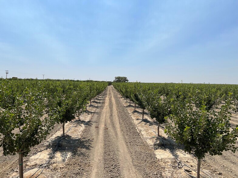 More Photos Of Idaho Ave @ 5th Avenue, Hanford Land For Sale