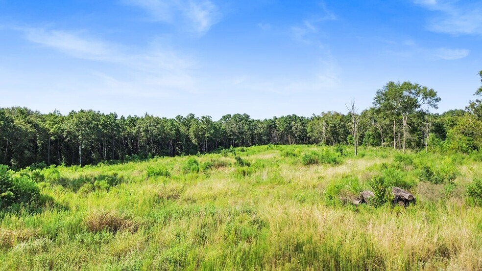 More Photos Of 1795 US Highway 190, Huntsville Land For Sale