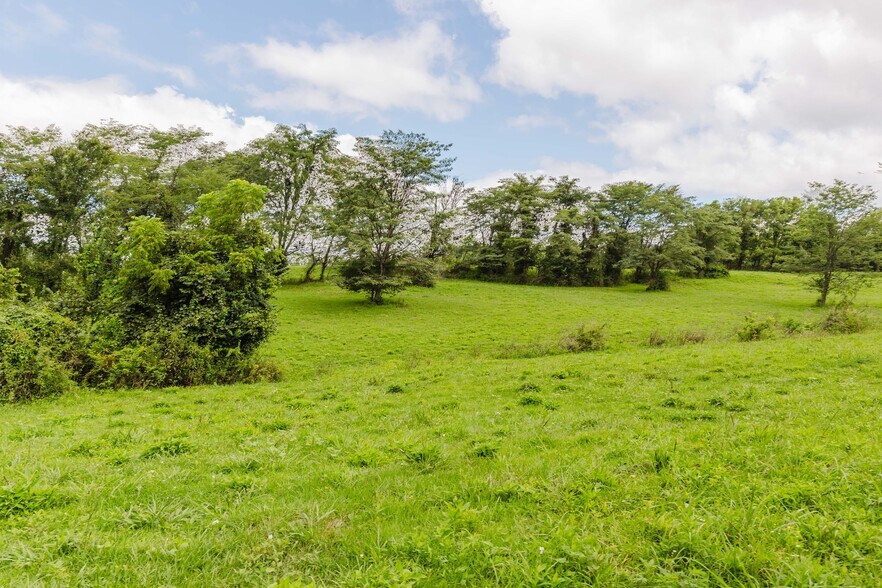 More Photos Of 7438 Bagdad Rd, Bagdad Land For Sale