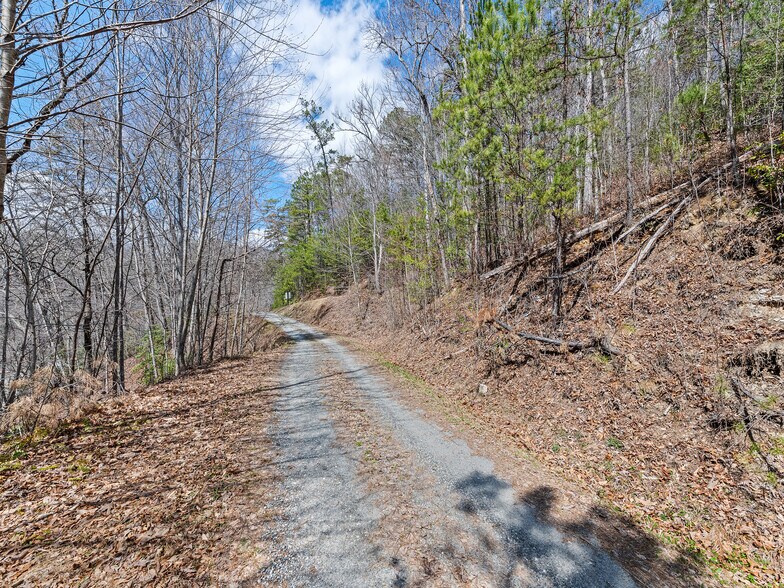 More Photos Of 5262 US Highway 74 W, Whittier Storefront Retail Residential For Sale