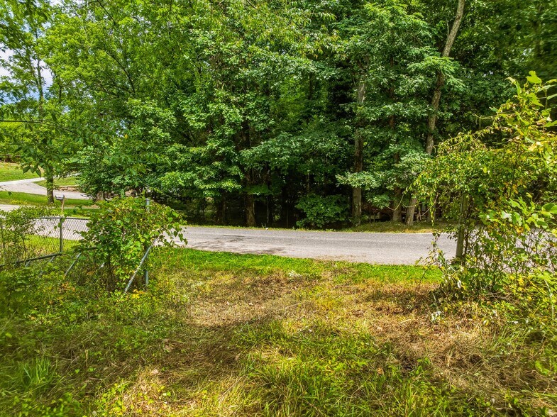 More Photos Of 99999 Daniel Rd, Asheville Land For Sale