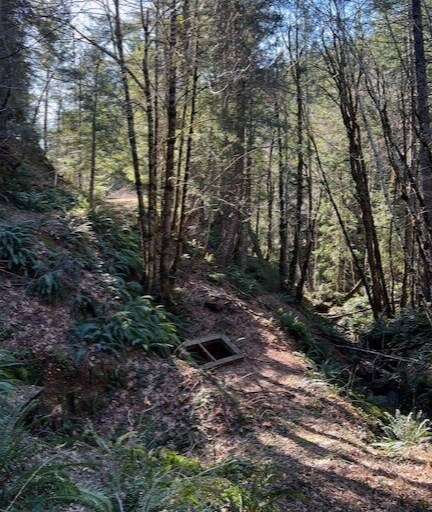 Primary Photo Of Highway 199, Crescent City Land For Sale