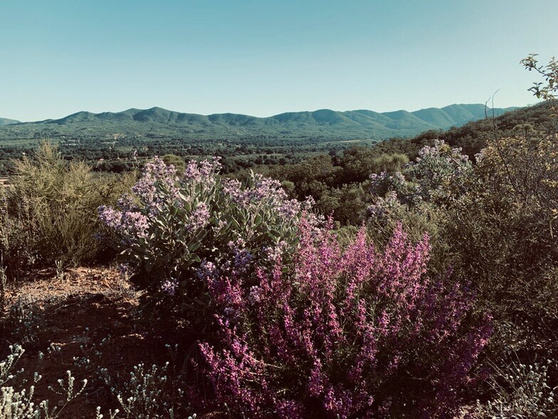 More Photos Of 30415 Chihuahua Valley Rd, Warner Springs Land For Sale