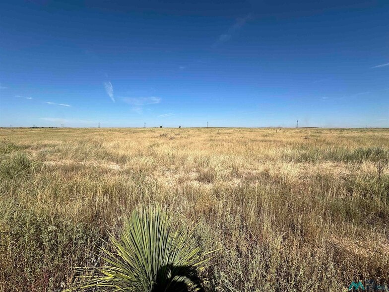 Primary Photo Of 4272 US Hwy 70 Highway, Portales Land For Sale