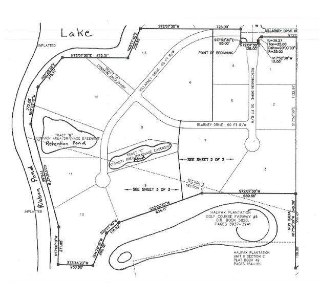 More Photos Of Roscommon Dr, Ormond Beach Land For Sale
