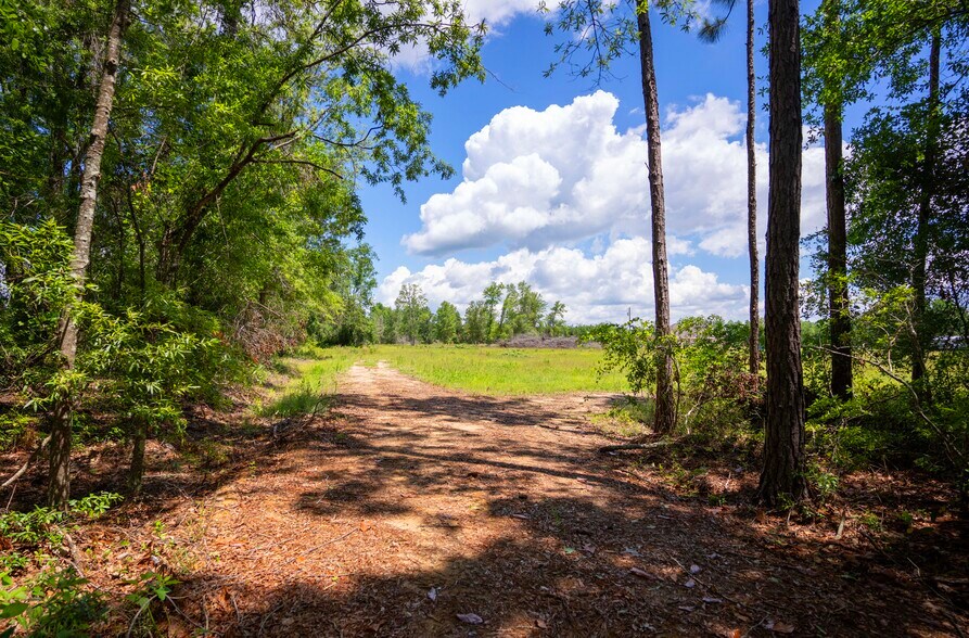 More Photos Of 17614 Lanes Bridge Rd, Odum Land For Sale