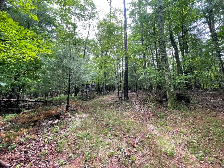 More Photos Of 853 Fairview Rd, Howard Apartments For Sale