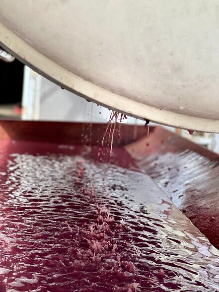 More Photos Of 6825 Old Richmond Rd, Lexington Winery Vineyard For Sale