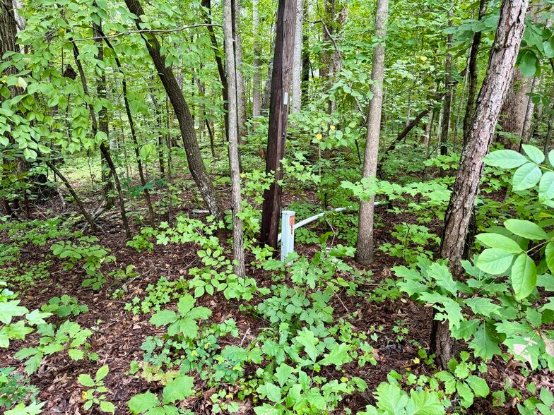 More Photos Of 3901 Old NC 86, Hillsborough Land For Sale